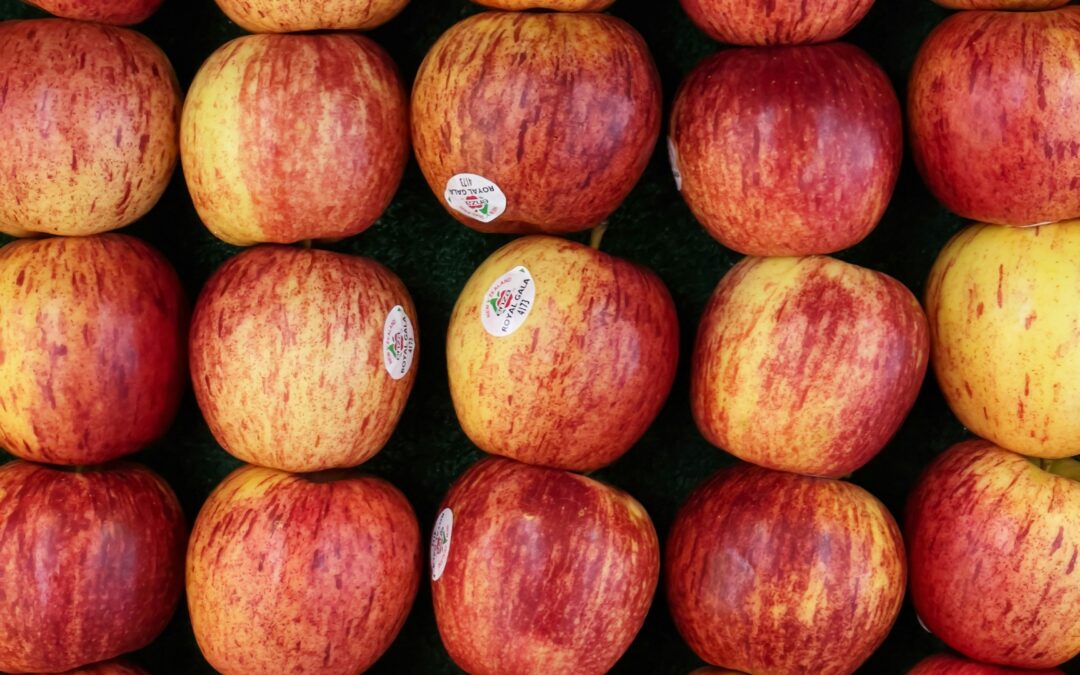 Making Math Meaningful: The Power of Real-World Models